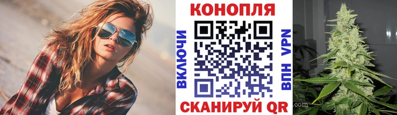 где можно купить   Высоковск  Бошки Шишки план 